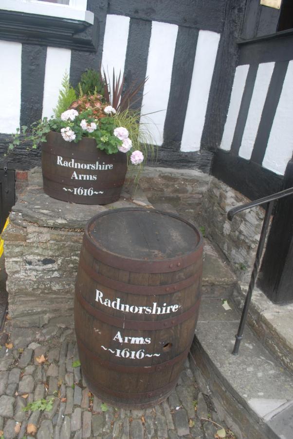 The Radnorshire Arms Hotel Presteigne Extérieur photo